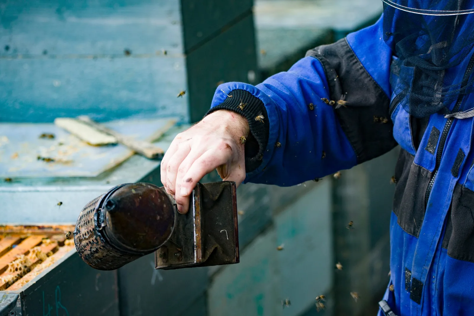 Včelař Musil s kuřákem u úlu – poctivý med ze Svitavska